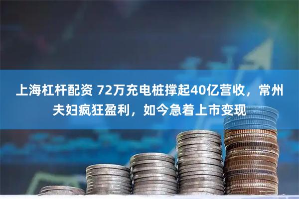 上海杠杆配资 72万充电桩撑起40亿营收，常州夫妇疯狂盈利，如今急着上市变现